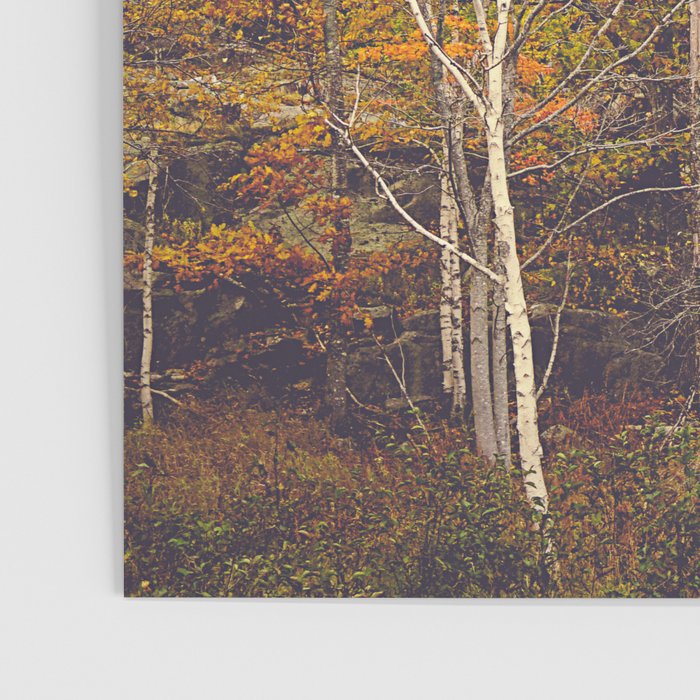 When Autumn Arrived Poster Gallery Image 3