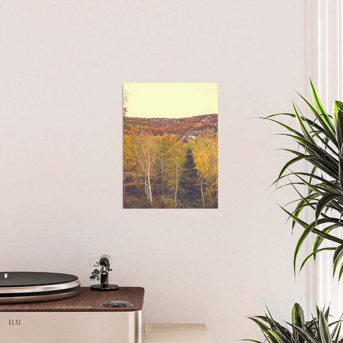 When Autumn Arrived Poster Gallery Image 2