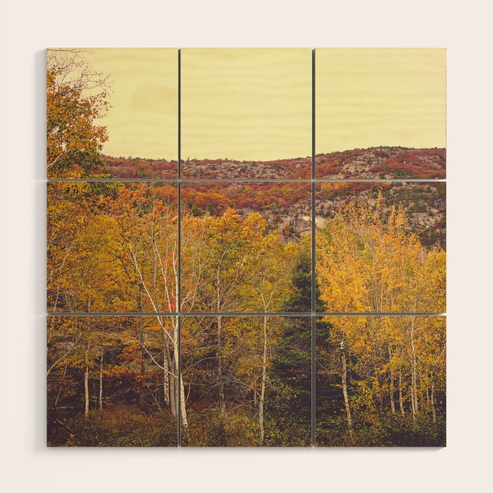 When Autumn Arrived Wood Wall Art Gallery Image 1