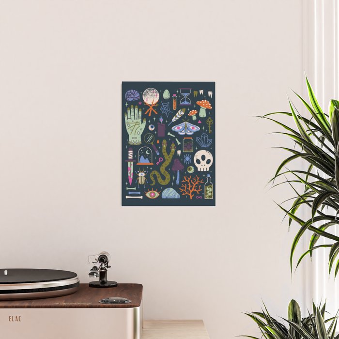 Curiosities Poster Gallery Image 2