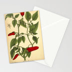 Hot Pepper by Elizabeth Blackwell from "A Curious Herbal," 1737 (benefiting The Nature Conservancy) Stationery Card Gallery Image 2