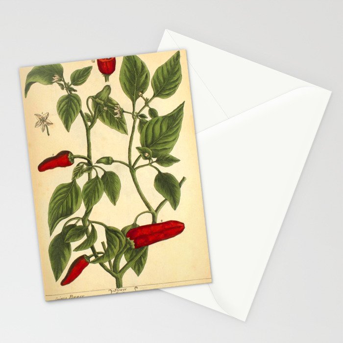 Hot Pepper by Elizabeth Blackwell from "A Curious Herbal," 1737 (benefiting The Nature Conservancy) Stationery Card Gallery Image 2