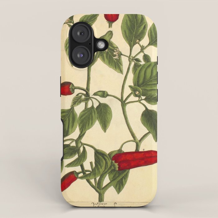 Hot Pepper by Elizabeth Blackwell from "A Curious Herbal," 1737 (benefiting The Nature Conservancy) iPhone Case Gallery Image 1