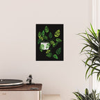 Back monstera obliqua Poster Gallery Image 2