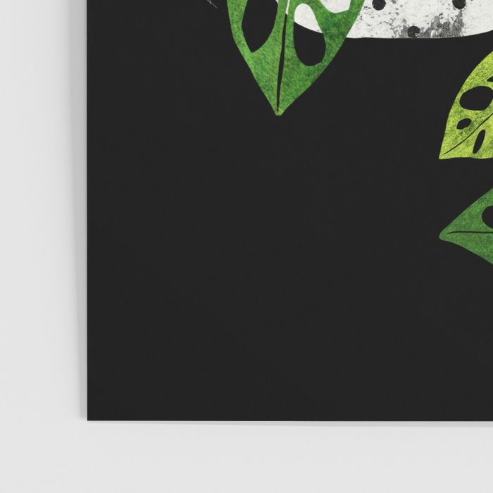 Back monstera obliqua Poster Gallery Image 3