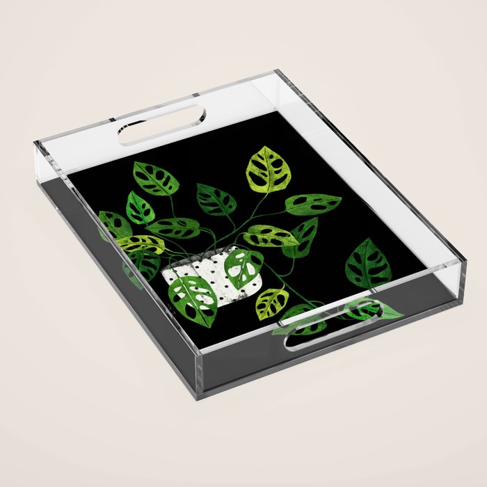 Back monstera obliqua Acrylic Tray Gallery Image 1