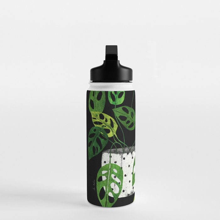 Back monstera obliqua Water Bottle Gallery Image 3