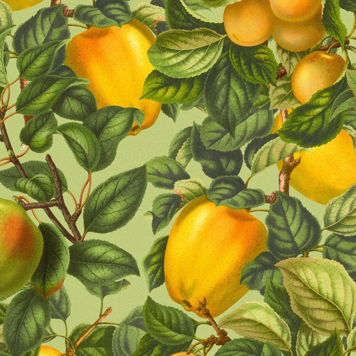 Fruit Garden Coffee Mug Gallery Image 2