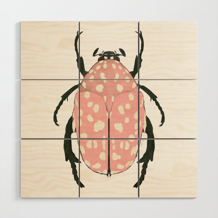  pink beetle insect Wood Wall Art Gallery Image 1