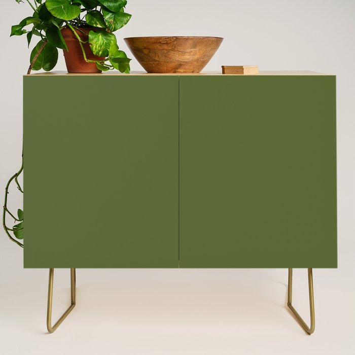 Olive Green Solid Color Credenza Gallery Image 1