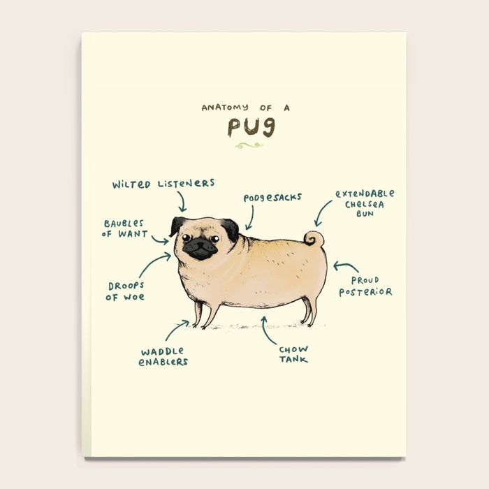 Anatomy of a Pug Notebook Gallery Image 4