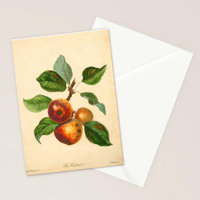 The Redstreak Apple (1811) Stationery Card Gallery Image 2