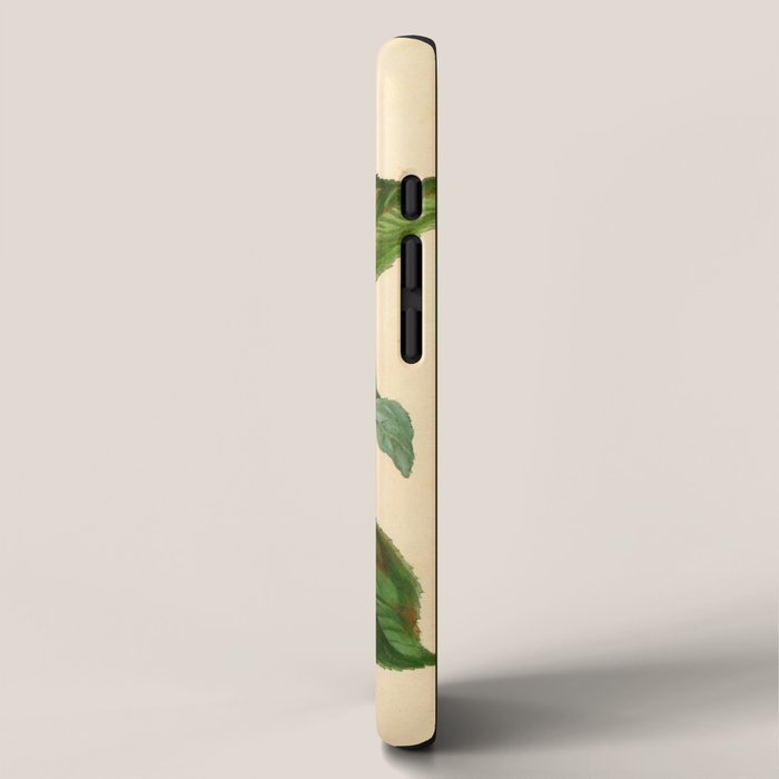 The Redstreak Apple (1811) iPhone Case Gallery Image 2