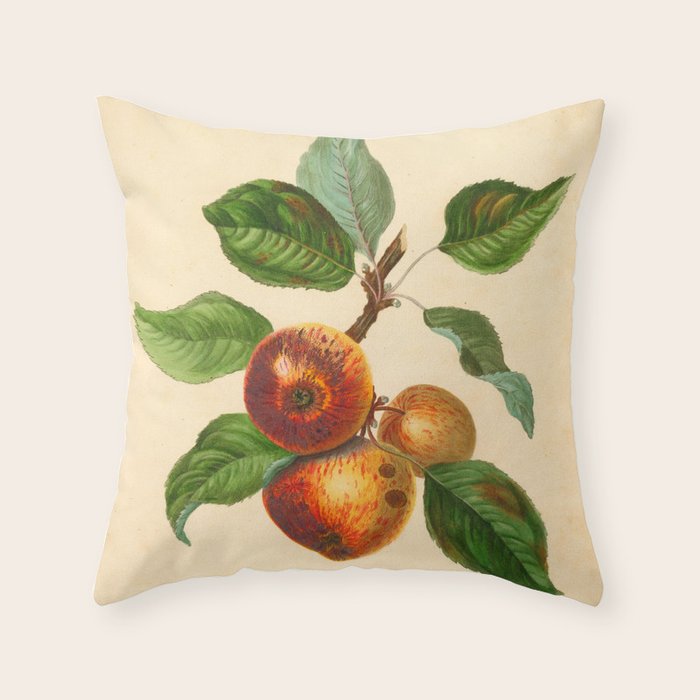 The Redstreak Apple (1811) Throw Pillow Gallery Image 6