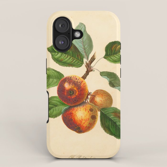The Redstreak Apple (1811) iPhone Case Gallery Image 1