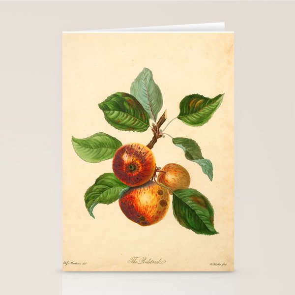 The Redstreak Apple (1811) Stationery Card Gallery Image 2