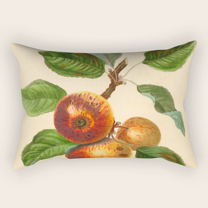The Redstreak Apple (1811) Rectangular Pillow Gallery Image 1
