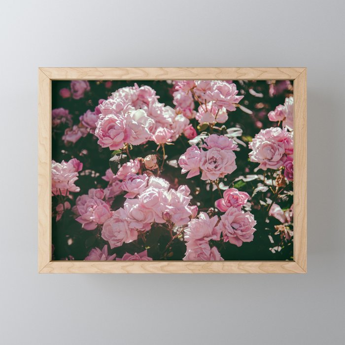Light Pink Roses Mini Art Print