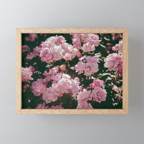 Light Pink Roses Mini Art Print