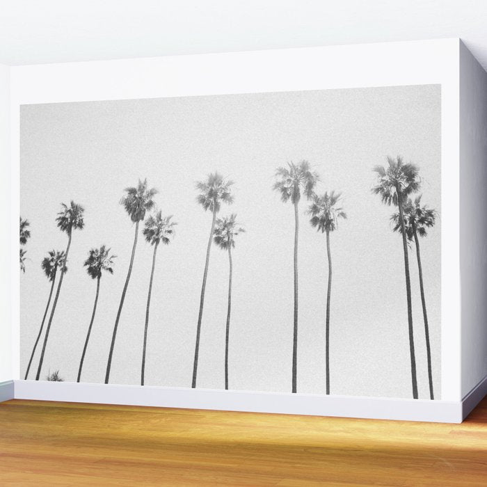 PALM TREES LXVII Wall Mural Gallery Image 2