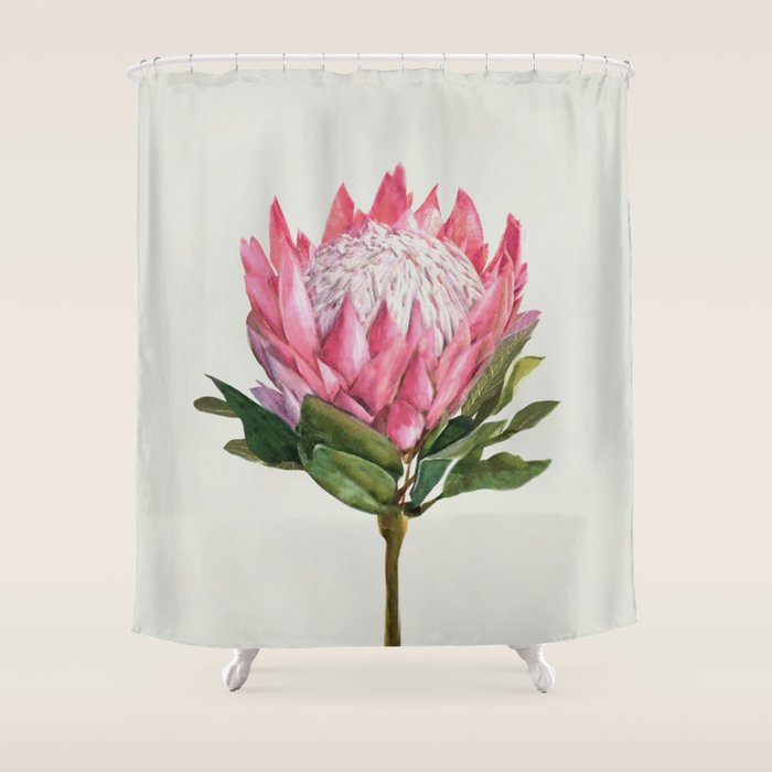 Protea Shower Curtain Gallery Image 1