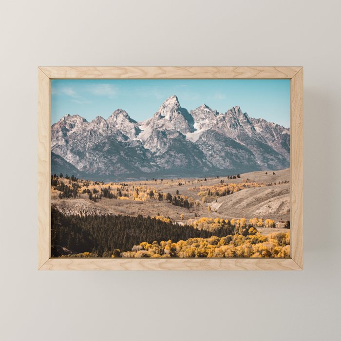 Grand Teton National Park Autumn Aspen Landscape Mini Art Print Gallery Image 1