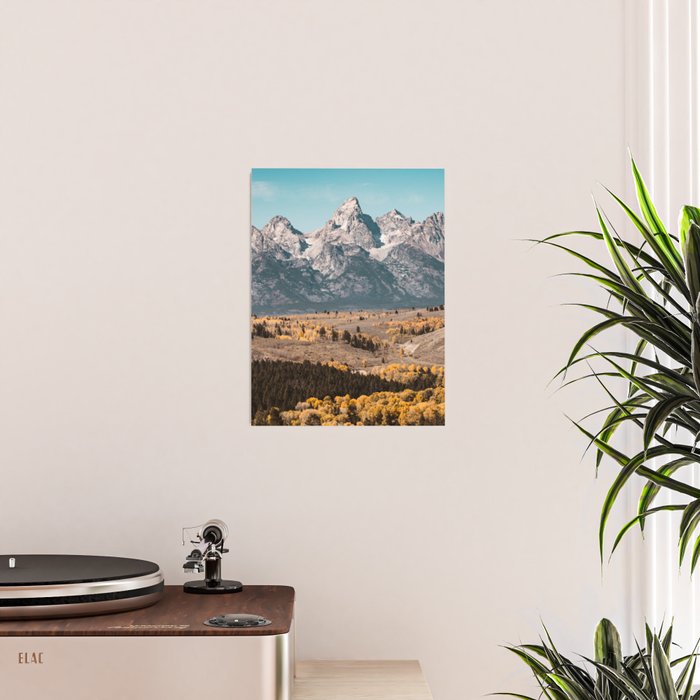 Grand Teton National Park Autumn Aspen Landscape Poster Gallery Image 2