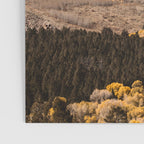 Grand Teton National Park Autumn Aspen Landscape Poster Gallery Image 3