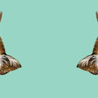 Bubble Gum Baby Cat in Green Coffee Mug Gallery Image 2