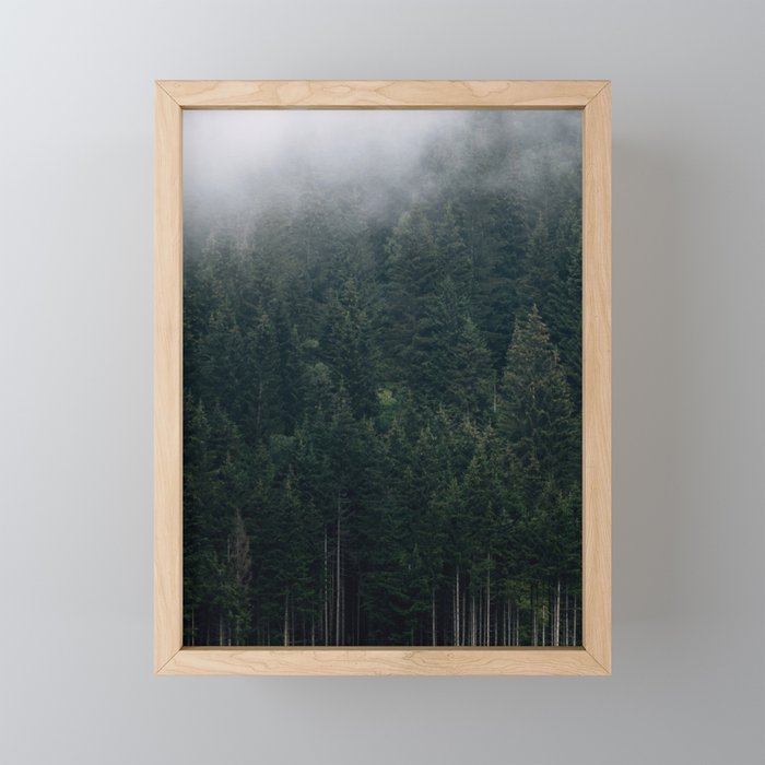 Mystic Pines - A Forest in the Fog Mini Art Print Gallery Image 1