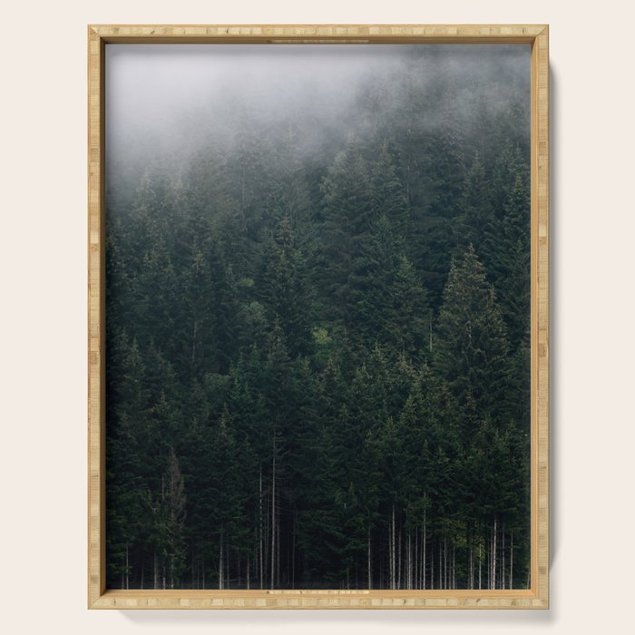 Mystic Pines - A Forest in the Fog Serving Tray Gallery Image 1
