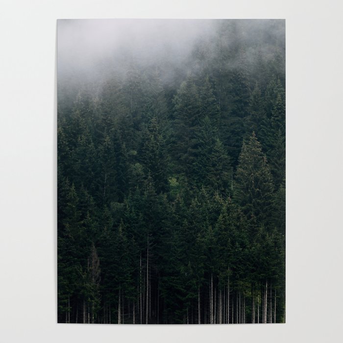 Mystic Pines - A Forest in the Fog Poster Gallery Image 4