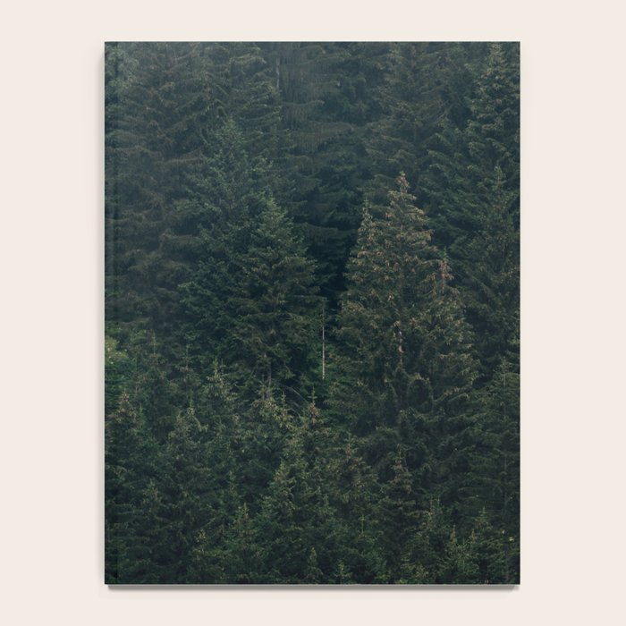 Mystic Pines - A Forest in the Fog Notebook Gallery Image 4