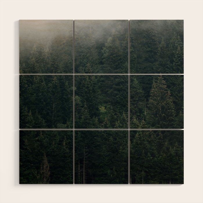 Mystic Pines - A Forest in the Fog Wood Wall Art Gallery Image 1