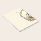 Arabian Horses - Equine Theme Vintage Illustration Notebook Gallery Image 3