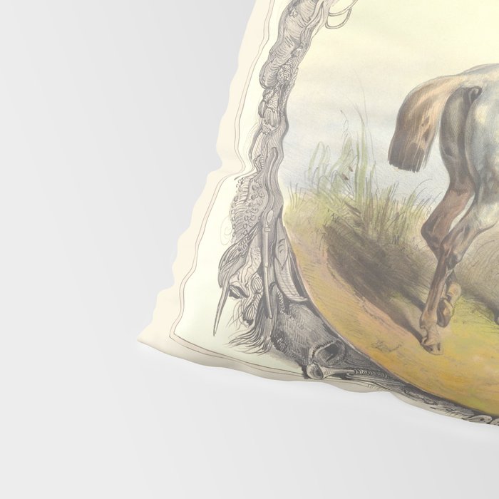 Arabian Horses - Equine Theme Vintage Illustration Pillow Sham Gallery Image 4