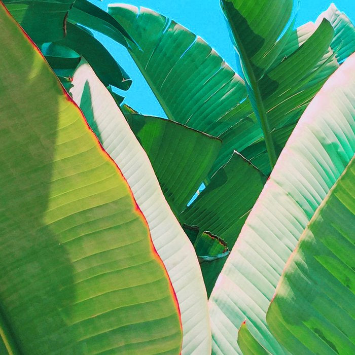 Pop Art Banana Leaf Coffee Mug Gallery Image 2