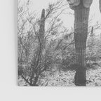 ARIZONA DESERT IV / Phoenix Poster Gallery Image 3