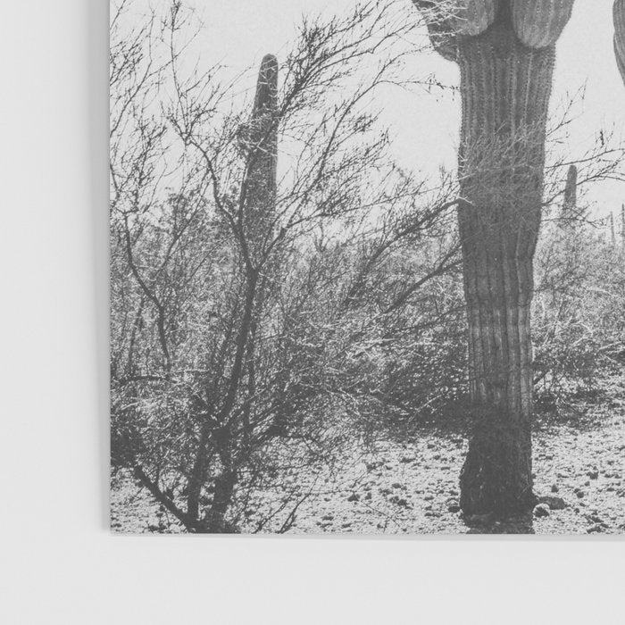 ARIZONA DESERT IV / Phoenix Poster Gallery Image 3