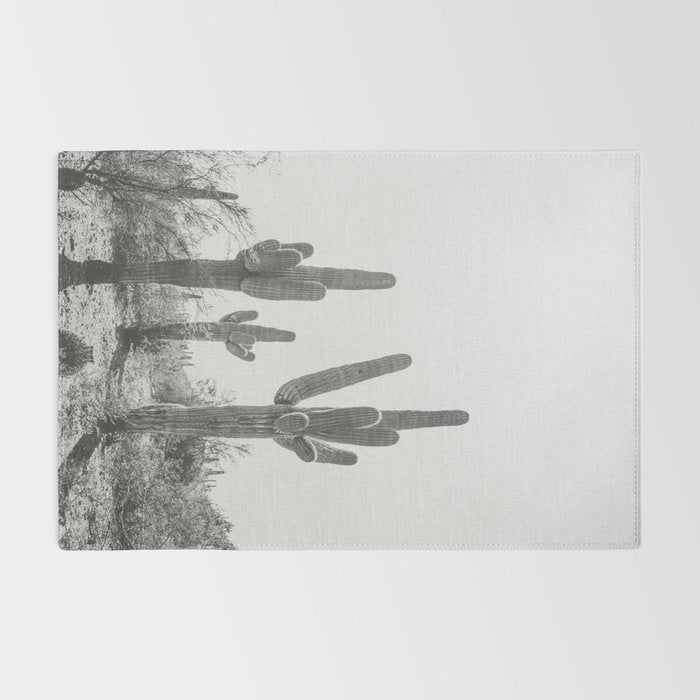 ARIZONA DESERT IV / Phoenix Rug Gallery Image 2