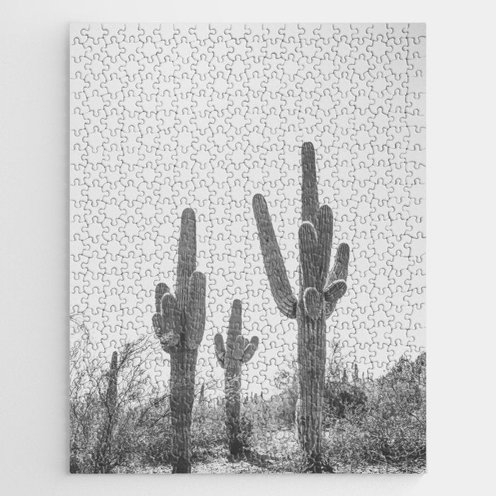 ARIZONA DESERT IV / Phoenix Jigsaw Puzzle Gallery Image 1
