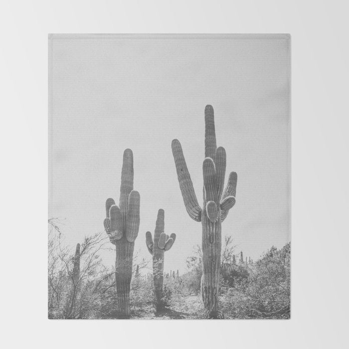 ARIZONA DESERT IV / Phoenix Throw Blanket Gallery Image 2