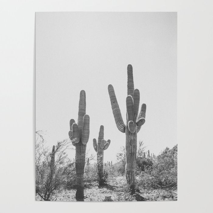 ARIZONA DESERT IV / Phoenix Poster Gallery Image 1