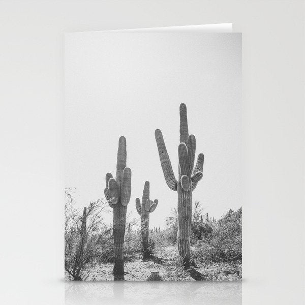 ARIZONA DESERT IV / Phoenix Stationery Card Gallery Image 2