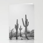 ARIZONA DESERT IV / Phoenix Stationery Card Gallery Image 2