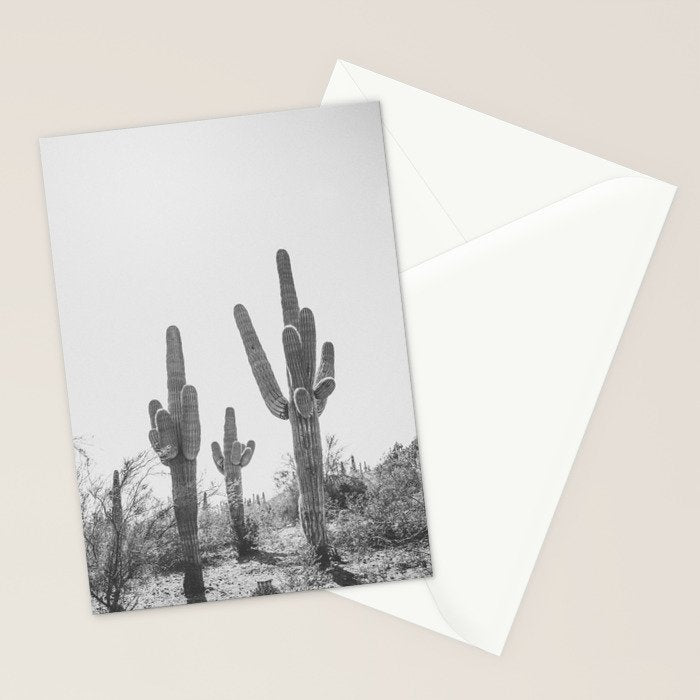 ARIZONA DESERT IV / Phoenix Stationery Card Gallery Image 2