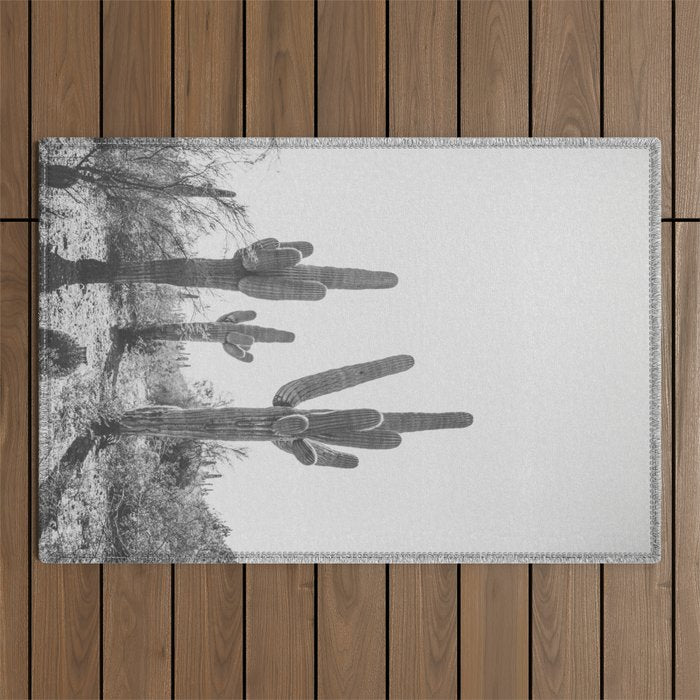 ARIZONA DESERT IV / Phoenix Outdoor Rug Gallery Image 1