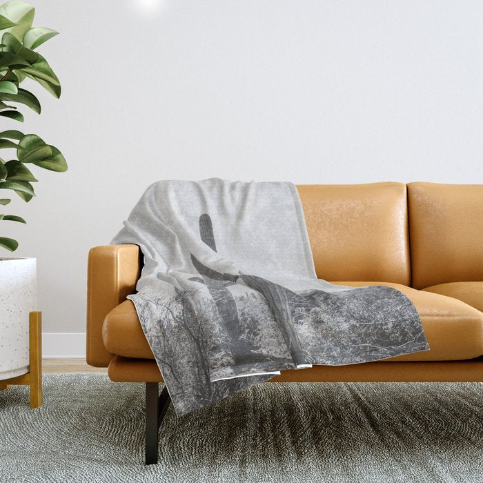 ARIZONA DESERT IV / Phoenix Throw Blanket Gallery Image 1