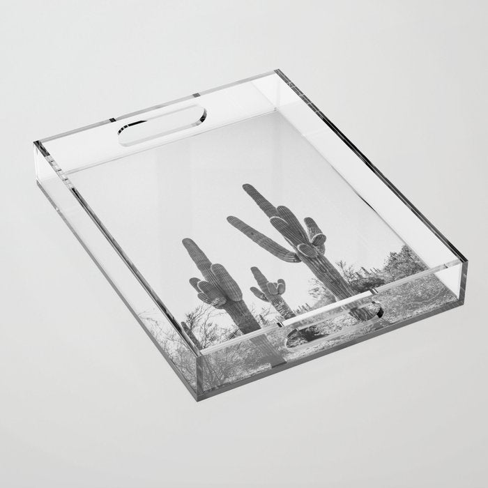 ARIZONA DESERT IV / Phoenix Acrylic Tray Gallery Image 1