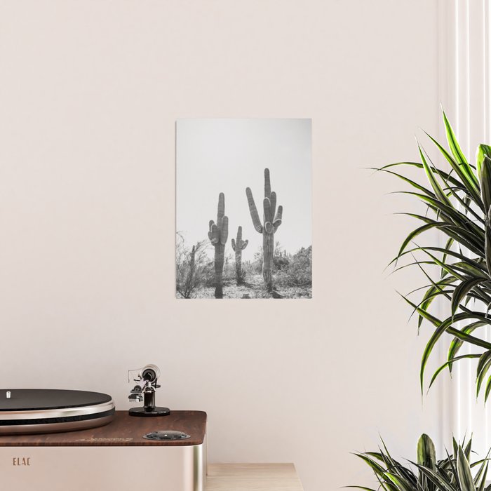 ARIZONA DESERT IV / Phoenix Poster Gallery Image 2